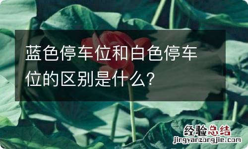 蓝色停车位和白色停车位的区别是什么？