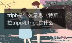 特斯拉tripa和tripb是什么意思 tripb是什么意思