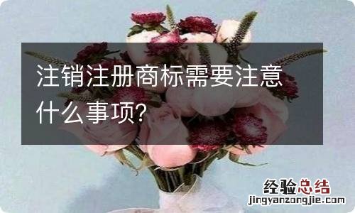 注销注册商标需要注意什么事项？