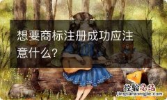 想要商标注册成功应注意什么？