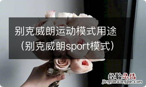 别克威朗sport模式 别克威朗运动模式用途