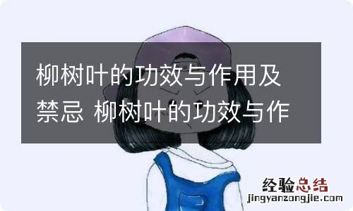 柳树叶的功效与作用及禁忌 柳树叶的功效与作用