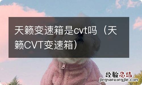 天籁CVT变速箱 天籁变速箱是cvt吗