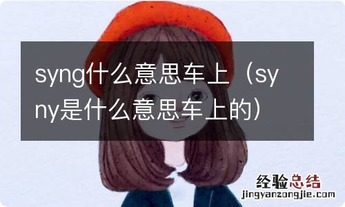 syny是什么意思车上的 syng什么意思车上