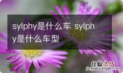 sylphy是什么车 sylphy是什么车型