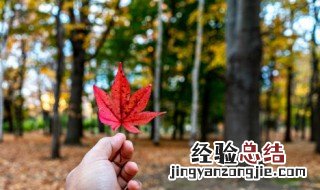 夏至季节代表什么意思 夏至这个季节是什么意思