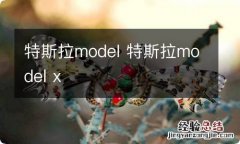 特斯拉model 特斯拉model x