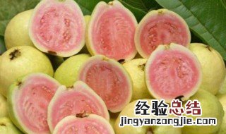 番石榴怎么存放 番石榴怎样保存可以留久一点