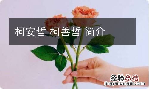柯安哲 柯善哲 简介