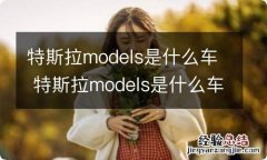 特斯拉models是什么车 特斯拉models是什么车型