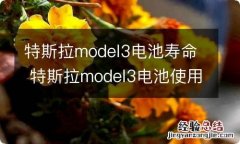 特斯拉model3电池寿命 特斯拉model3电池使用寿命