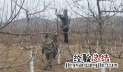 苹果四月份管理方法是什么 苹果四月份管理方法