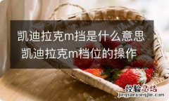 凯迪拉克m挡是什么意思 凯迪拉克m档位的操作