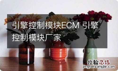 引擎控制模块ECM 引擎控制模块厂家