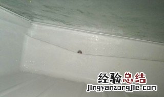 冰箱小孔流水怎么处理 冰箱小孔流水处理方法