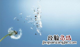 卧室挂蒲公英的画好吗 卧室挂蒲公英的禁忌