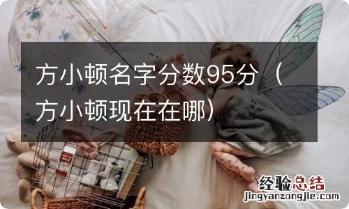 方小顿现在在哪 方小顿名字分数95分