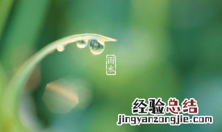 雨水节气创意文案 雨水节气创意文案简短