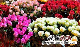 花卉土壤的制作方法图片 花卉土壤的制作方法