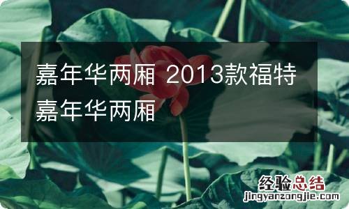 嘉年华两厢 2013款福特嘉年华两厢