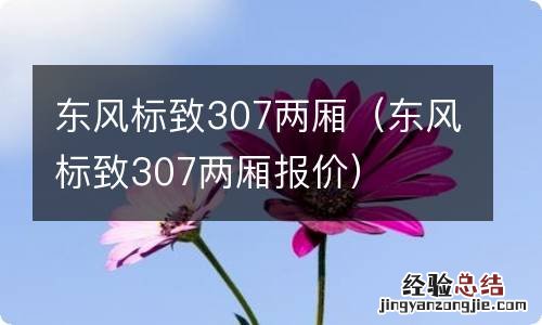 东风标致307两厢报价 东风标致307两厢