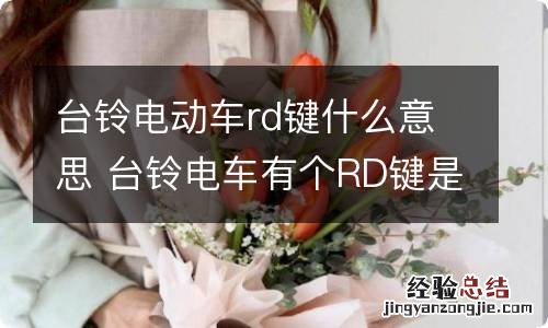 台铃电动车rd键什么意思 台铃电车有个RD键是什么