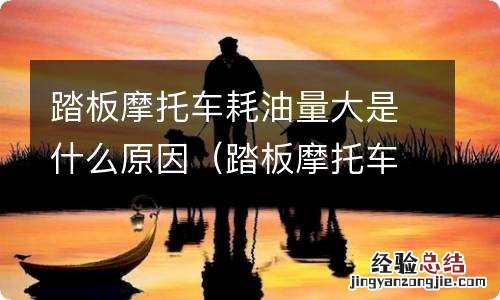 踏板摩托车耗油量大是什么原因导致的 踏板摩托车耗油量大是什么原因