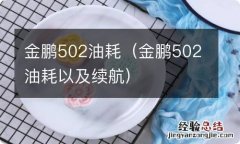 金鹏502油耗以及续航 金鹏502油耗