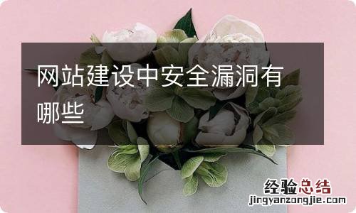 网站建设中安全漏洞有哪些