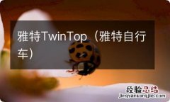 雅特自行车 雅特TwinTop