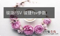 骏捷FSV 骏捷fsv参数