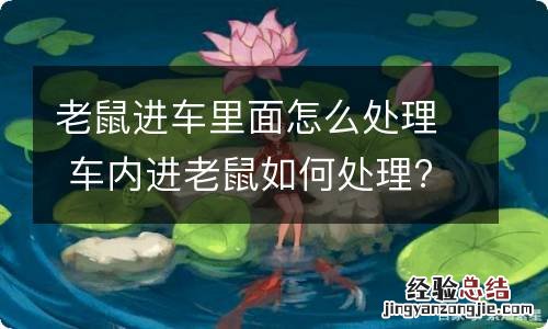 老鼠进车里面怎么处理 车内进老鼠如何处理?