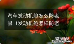 发动机舱怎样防老鼠 汽车发动机舱怎么防老鼠