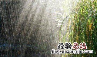 雨的俗语语有哪些 最新雨的俗语精选