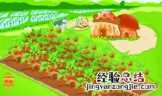 淘宝芭芭农场怎么进入种果树 淘宝的芭芭农场怎么进入