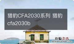 猎豹CFA2030系列 猎豹cfa2030b