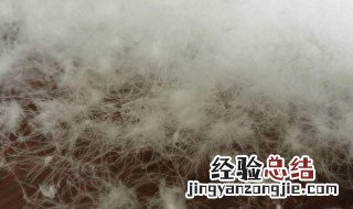 什么是90白鸭绒 什么是90白鸭绒80白鸭绒有什么区别