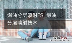 燃油分层喷射FSI 燃油分层喷射技术