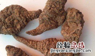 生地黄和熟地黄的区别是什么昵? 生地黄和熟地黄的区别