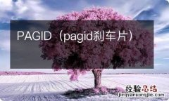 pagid刹车片 PAGID