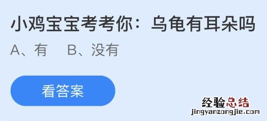 今天蚂蚁庄园12月4日问题正确答案：乌龟有耳朵吗？