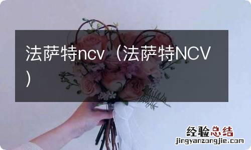 法萨特NCV 法萨特ncv