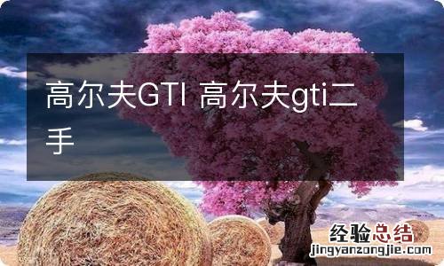 高尔夫GTI 高尔夫gti二手