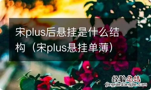 宋plus悬挂单薄 宋plus后悬挂是什么结构