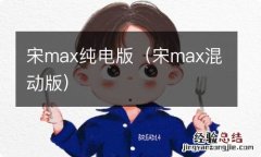 宋max混动版 宋max纯电版