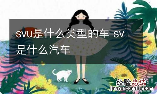 svu是什么类型的车 sv是什么汽车