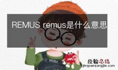 REMUS remus是什么意思