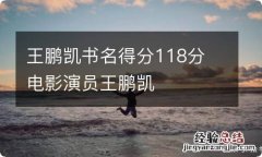 王鹏凯书名得分118分 电影演员王鹏凯