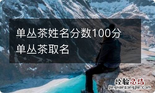 单丛茶姓名分数100分 单丛茶取名