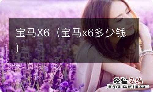 宝马x6多少钱 宝马X6